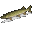 Щука