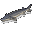 Осётр